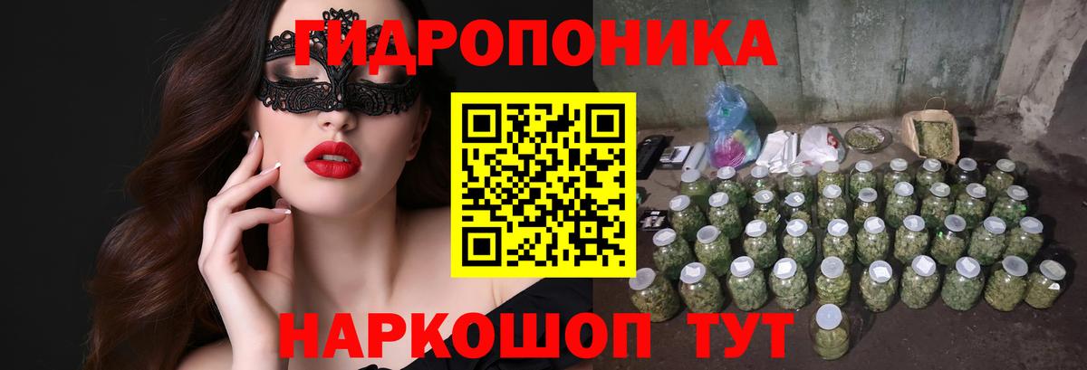 МАРИХУАНА Bruce Banner  Вход с VPN  Ахтубинск  МАРИХУАНА индика  Каннабис Ganja 